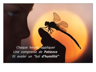 Chaque heure, appliquer 
Une compresse de Patience 
Et avaler un “bol d’humilité” 
 