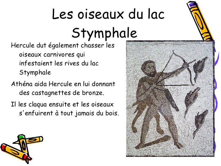 Les 12 Travaux D Hercule Résumé Par Chapitre