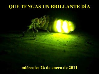 QUE TENGAS UN BRILLANTE DÍA miércoles 26 de enero de 2011 