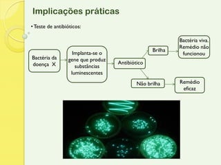 Implicações práticas
• Teste de antibióticos:

                                                          Bactéria viva.
                                                          Remédio não
                                                 Brilha
                   Implanta-se o                           funcionou
Bactéria da      gene que produz
doença X                           Antibiótico
                    substâncias
                  luminescentes
                                           Não brilha     Remédio
                                                           eficaz
 