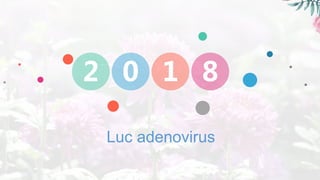 2 0 1 8
Luc adenovirus
 