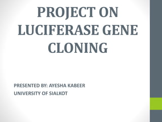 PROJECT ON
LUCIFERASE GENE
CLONING
PRESENTED BY: AYESHA KABEER
UNIVERSITY OF SIALKOT
 