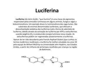 Luciferina
   Luciferina (do latim lúcifer, "que ilumina") é uma classe de pigmentos
 responsável pelas emissões luminosas em alguns animais, fungos e algas a
bioluminescência. Um exemplo disso é a luminescência dos vaga-lumes. São
       substratos de enzimas denominadas luciferases, que efetuam a
   descarboxilação oxidativa das luciferinas (sob a forma de adenilato de
luciferina, obtido através da activação de luciferina por ATP) a oxiluciferinas
   usando oxigênio (O2) e produzindo energia luminosa nessa reação. As
     oxiluciferinas podem ser regeneradas posteriormente a luciferinas.
Apesar de ter sido descoberta pelo francês Raphael Dubois (que cunhou os
termos luciferina e luciferase), a luciferina foi melhor estudada nos anos 50
pela equipe de William McElroy na Universidade John Hopkins, nos Estados
Unidos, a partir de milhares de pirilampos recolhidos por crianças na região
                                  de Baltimore.
 