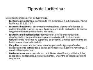 Tipos de Luciferina :
Existem cinco tipos gerais de luciferinas.
• Luciferina de pirilampo: encontrada em pirilampos, o substrato da enzima
    luciferase EC 1.13.12.7.
• Luciferina bacteriana: encontrada em bactérias, alguns cefalópodes da
    ordem Sepiolida e alguns peixes. Consiste num ácido carboxílico de cadeia
    longa e um fosfato de riboflavina reduzido.
• Luciferina de dinoflagelados: derivado da clorofila encontrado em
    dinoflagelados, frequentemente os responsáveis pelo fenômeno de
    fosforescência noturnas na superfície de oceanos. Um tipo semelhante de
    luciferina é encontrado no krill.
• Vargulina: encontrada em determinados peixes de águas profundas,
    especificamente ostracodes e peixes pertencentes ao gênero Porichthys. É
    uma imidazolopirazina.
• Coelenterazina: é encontrada em radiolários, ctenóforos, cnidários, lulas,
    copépodos, quilógnatas, peixes e camarões. Encontra-se ligada à proteína
    aequorina.
 