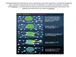 "A bioluminescência tem sido descrita como a emissão de luz por certos organismos, resultante da oxidação de
      algum substrato, na presença de uma enzima. O substrato é um composto termoestável, conhecido
    como luciferina, e a enzima sensível ao calor, que serve como elemento catalisador para provocar esta
                            oxidação, que resulta em luz fria, chama-se luciferase."
 