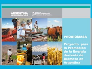 PROBIOMASA

Proyecto para
la Promoción
de la Energía
derivada de
Biomasa en
Argentina
 