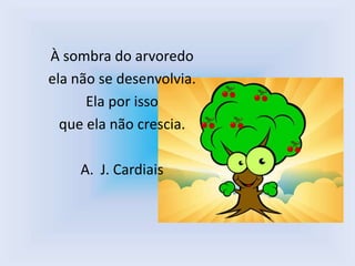 À sombra do arvoredo
ela não se desenvolvia.
      Ela por isso
  que ela não crescia.

     A. J. Cardiais
 