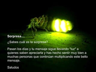 Sorpresa....
¿Sabes cuál es la sorpresa?

Pasan los días y tu mensaje sigue llevando "luz" a
quienes saben apreciarla y has hecho sentir muy bien a
muchas personas que continúan multiplicando este bello
mensaje.

Saludos
 