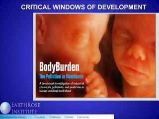 CRITICAL WINDOWS OF DEVELOPMENT 