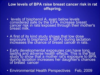 Low levels of BPA raise breast cancer risk in rat offspring. levels of bisphenol A, even below levels considered safe by the EPA, increase breast cancer risk in rats exposed through their mother's breast milk.  A first of its kind study shows that low dose exposure to bisphenol A (BPA) during lactation increases the chance of breast cancer in rats. Early developmental exposures can have long lasting and adverse health effects. This is the first study to show that a mother rat's exposure to BPA during lactation increases her daughter's chances of breast  cancer Environmental Health Perspectives  Feb, 2009  
