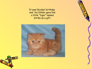 It was Nicolas’ birthday and his father gave him a little “tiger” named Strike as a gift.