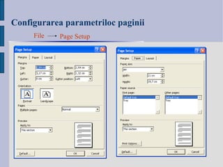 Configurarea parametriloc paginii File Page Setup 
