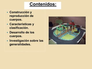Contenidos:Construcción y reproducción de cuerpos.Características y clasificación.Desarrollo de los cuerpos.Investigación sobre las generalidades.