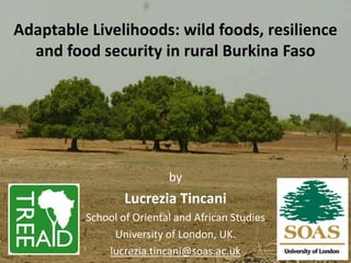 Adaptable Livelihoods: wild foods, resilience and food security in rural Burkina Faso by Lucrezia Tincani School of Oriental and African Studies University of London, UK. lucrezia.tincani@soas.ac.uk  