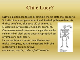 Chi è Lucy?
Lucy è il più famoso fossile di ominide che sia stato mai scoperto.
Si tratta di un esemplare femmina di Australopithecusafarensis ,
di circa vent’anni, alta poco più di un metro.
E’ vissuta in Africa circa 3,5 milioni di anni fa.
Camminava usando solamente le gambe, anche
se le mani e i piedi erano ancora appropriati per
arrampicarsi sugli alberi.
La sua dentatura e la sua mandibola erano
molto sviluppate, adatte a masticare i cibi che
raccoglieva e di cui si nutriva
come erbe, bacche, radici e frutti selvatici.
 