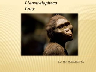 DI: TEA IREMASHVILI
L'australopiteco
Lucy
 