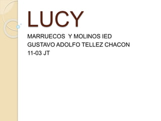 LUCY
MARRUECOS Y MOLINOS IED
GUSTAVO ADOLFO TELLEZ CHACON
11-03 JT
 