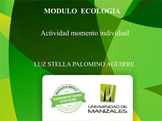 MODULO ECOLOGIA
LUZ STELLA PALOMINO AGUIRRE
Actividad momento individual
 