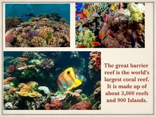The great barrier
reef is the world's
largest coral reef.
It is made up of
about 3,000 reefs
and 900 Islands.

 