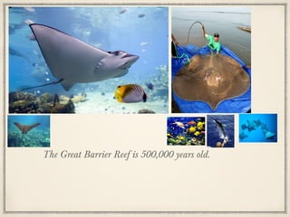 The Great Barrier Reef is 500,000 years old.

 