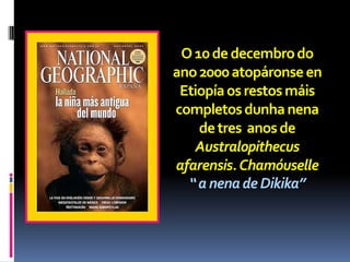 O 10 de decembro do
ano 2000 atopáronse en
 Etiopía os restos máis
completos dunha nena
    de tres anos de
   Australopithecus
afarensis. Chamóuselle
  “ a nena de Dikika”
 
