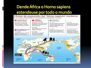 Dende África o Homo sapiens
estendeuse por todo o mundo
 