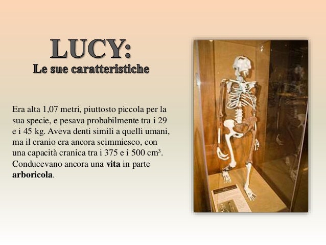Lucy