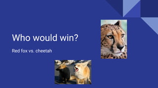 Who would win?
Red fox vs. cheetah
 