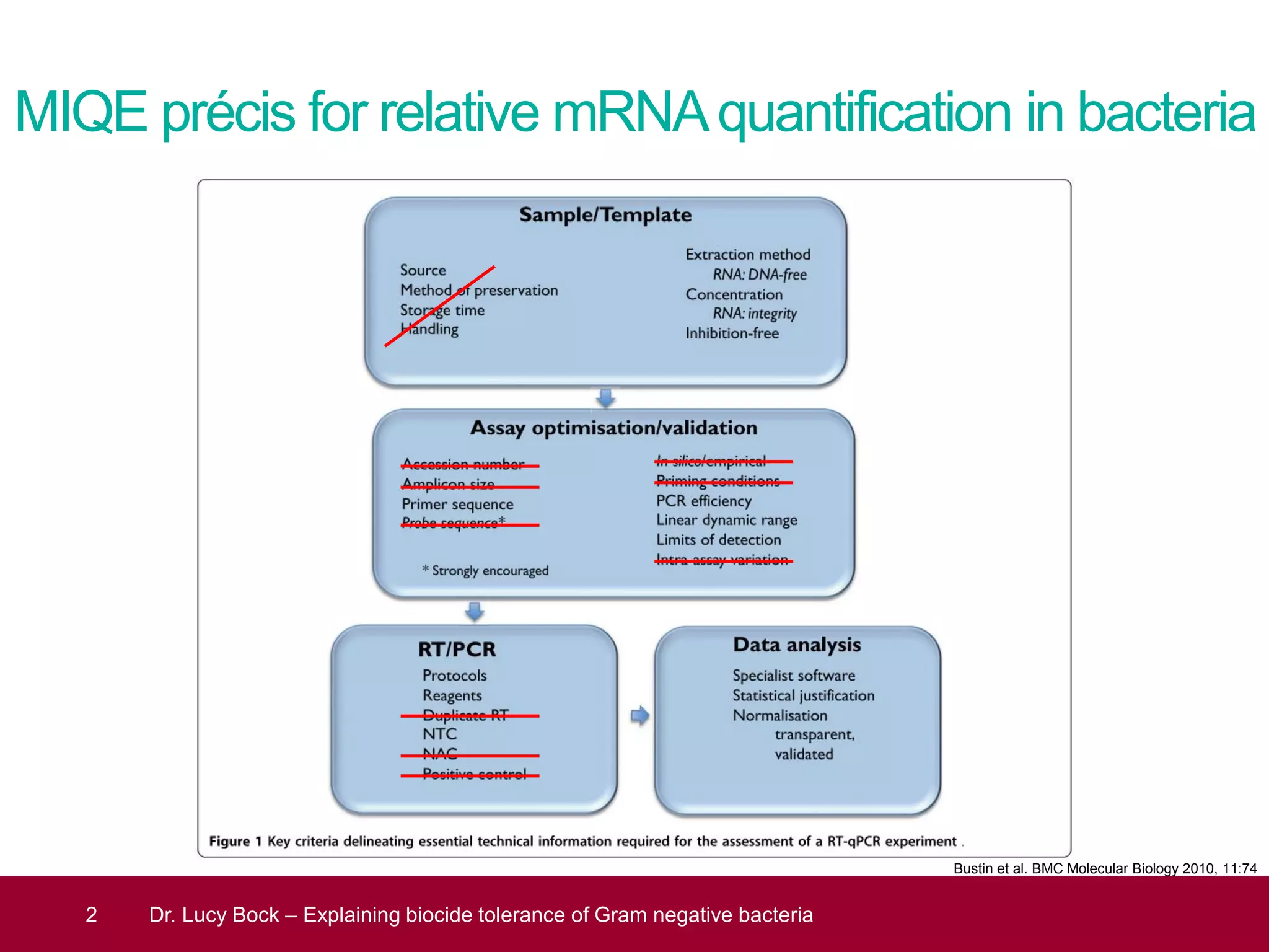 MIQE précis for relative mRNAquantification in bacteria
2 Dr. Lucy Bock – Explaining biocide tolerance of Gram negative bacteria
Bustin et al. BMC Molecular Biology 2010, 11:74
 