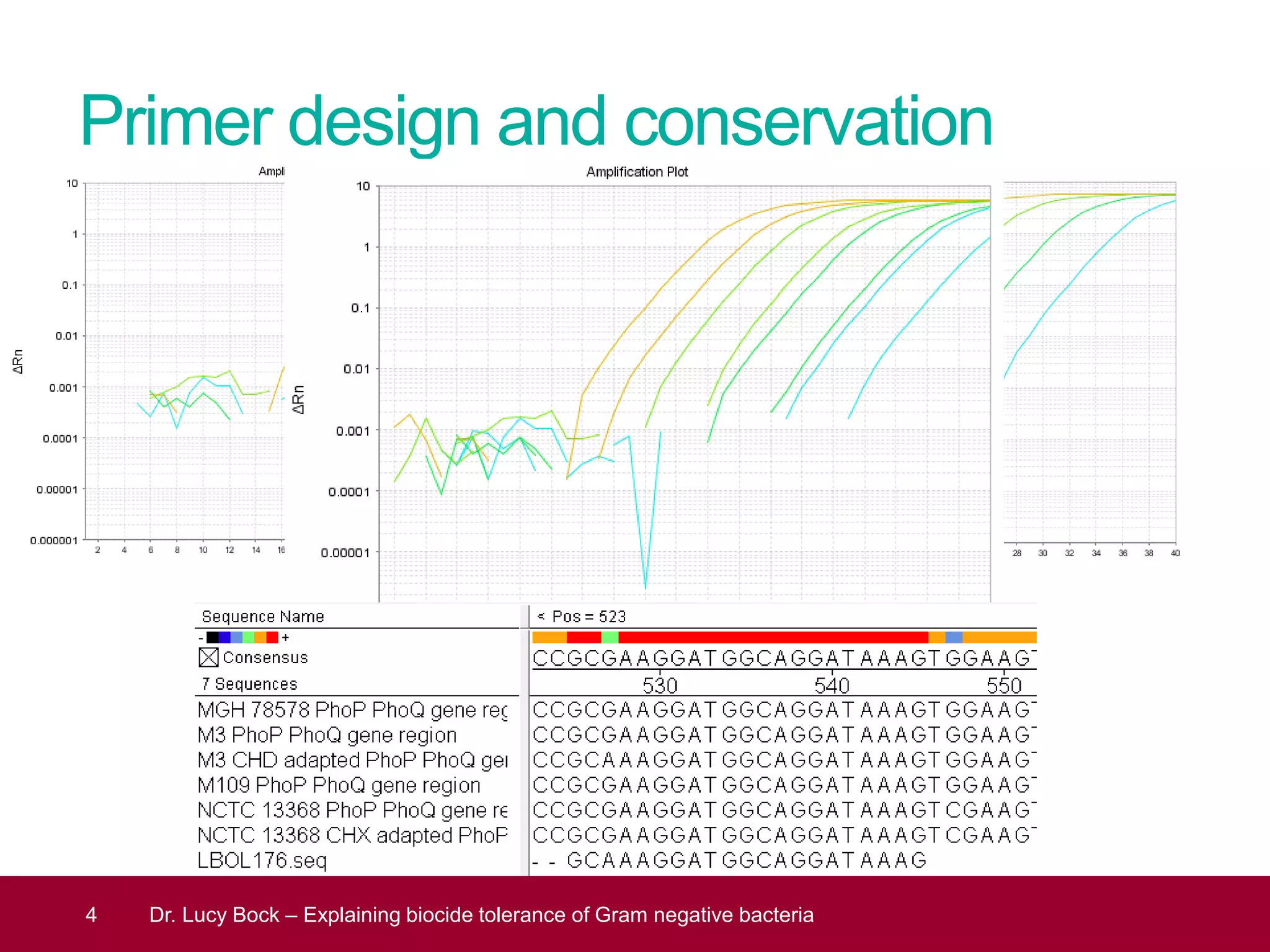 Primer design and conservation
Primer Blast with the following settings:
• Primer length: ~20bp
• Melting temperature: 59°- 61° (60° optimum)
• PCR product size: 90-110b
Then check for conservation for 3 primer pairs
4 Dr. Lucy Bock – Explaining biocide tolerance of Gram negative bacteria
 