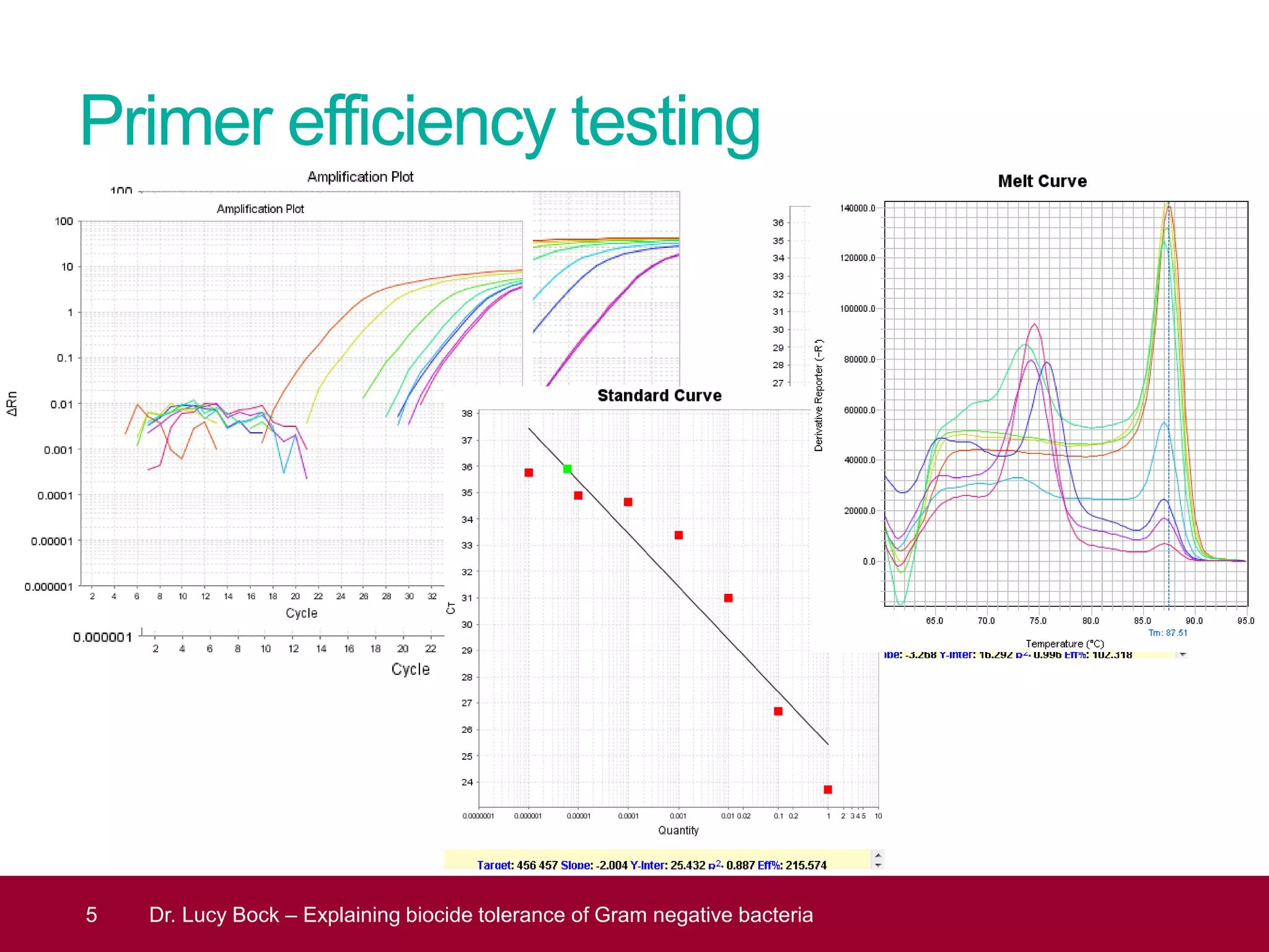 Primer efficiency testing
5 Dr. Lucy Bock – Explaining biocide tolerance of Gram negative bacteria
 