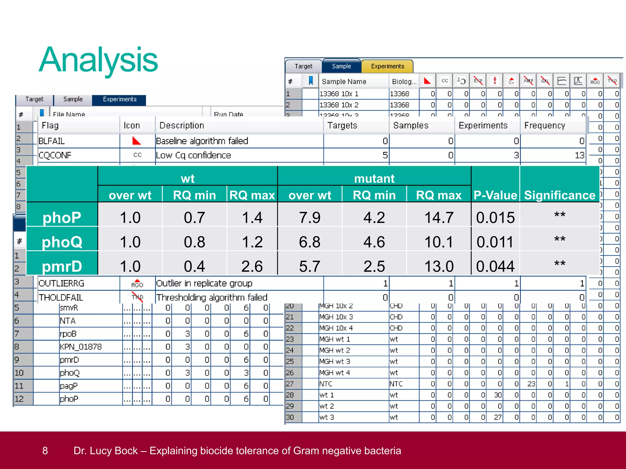 Analysis
8 Dr. Lucy Bock – Explaining biocide tolerance of Gram negative bacteria
wt mutant
P-Value Significanceover wt RQ min RQ max over wt RQ min RQ max
phoP 1.0 0.7 1.4 7.9 4.2 14.7 0.015 **
phoQ 1.0 0.8 1.2 6.8 4.6 10.1 0.011 **
pmrD 1.0 0.4 2.6 5.7 2.5 13.0 0.044 **
 