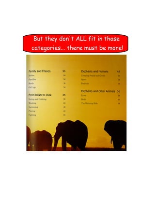 But they don't ALL fit in those
categories... there must be more!
 