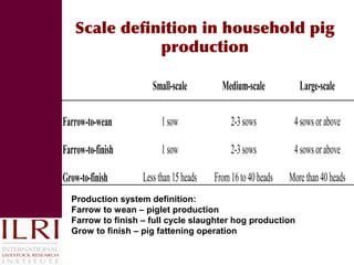 Reducing disease risks and improving food safety in smallholder pig value chains in Vietnam: What have we learned from previous work? 