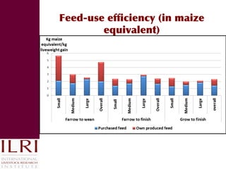 Reducing disease risks and improving food safety in smallholder pig value chains in Vietnam: What have we learned from previous work? 