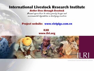 Reducing disease risks and improving food safety in smallholder pig value chains in Vietnam: What have we learned from previous work? 