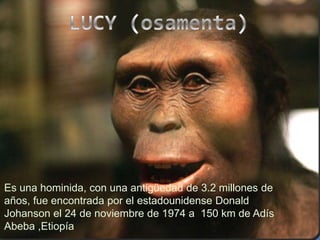 LUCY (osamenta) Es una hominida, con una antigüedad de 3.2 millones de  años, fue encontrada por el estadounidense Donald Johanson el 24 de noviembre de 1974 a  150 km de Adís Abeba ,Etiopía 
