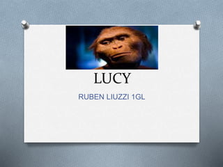 LUCY
RUBEN LIUZZI 1GL
 