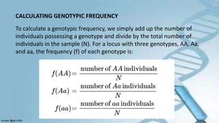 CALCULATING GENOTYPIC FREQUENCY
To calculate a genotypic frequency, we simply add up the number of
individuals possessing a genotype and divide by the total number of
individuals in the sample (N). For a locus with three genotypes, AA, Aa,
and aa, the frequency (f) of each genotype is:
 