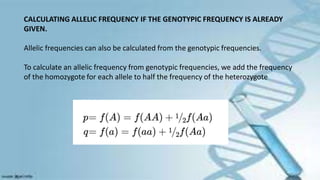CALCULATING ALLELIC FREQUENCY IF THE GENOTYPIC FREQUENCY IS ALREADY
GIVEN.
Allelic frequencies can also be calculated from the genotypic frequencies.
To calculate an allelic frequency from genotypic frequencies, we add the frequency
of the homozygote for each allele to half the frequency of the heterozygote
 