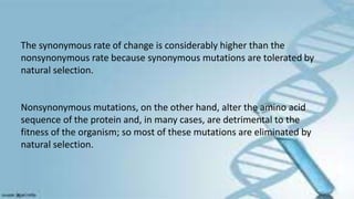 The synonymous rate of change is considerably higher than the
nonsynonymous rate because synonymous mutations are tolerated by
natural selection.
Nonsynonymous mutations, on the other hand, alter the amino acid
sequence of the protein and, in many cases, are detrimental to the
fitness of the organism; so most of these mutations are eliminated by
natural selection.
 
