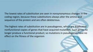 The lowest rates of substitution are seen in nonsynonymous changes in the
coding region, because these substitutions always alter the amino acid
sequence of the protein and are often deleterious.
The highest rates of substitution are in pseudogenes, which are duplicated
nonfunctional copies of genes that have acquired mutations. Such genes no
longer produce a functional product; so mutations in pseudogenes have no
effect on the fitness of the organism
 