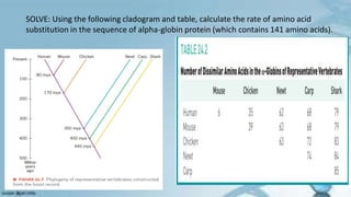 SOLVE: Using the following cladogram and table, calculate the rate of amino acid
substitution in the sequence of alpha-globin protein (which contains 141 amino acids).
 