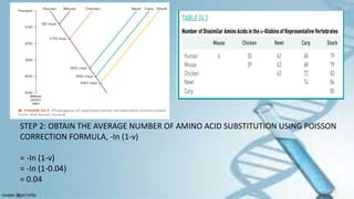 STEP 2: OBTAIN THE AVERAGE NUMBER OF AMINO ACID SUBSTITUTION USING POISSON
CORRECTION FORMULA, -In (1-v)
= -In (1-v)
= -In (1-0.04)
= 0.04
 