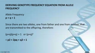DERIVING GENOTYPE FREQUENCY EQUATION FROM ALLELE
FREQUENCY
Allele Frequency
p + q = 1
Since there are two alleles, one from father and one from mother, that
are transmitted to the offspring, therefore:
(p+q)(p+q) = 1 or (p+q)2
= p2 + 2pq + q2 = 1
 