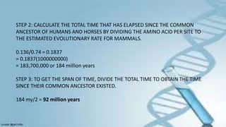 STEP 2: CALCULATE THE TOTAL TIME THAT HAS ELAPSED SINCE THE COMMON
ANCESTOR OF HUMANS AND HORSES BY DIVIDING THE AMINO ACID PER SITE TO
THE ESTIMATED EVOLUTIONARY RATE FOR MAMMALS.
0.136/0.74 = 0.1837
= 0.1837(1000000000)
= 183,700,000 or 184 million years
STEP 3: TO GET THE SPAN OF TIME, DIVIDE THE TOTAL TIME TO OBTAIN THE TIME
SINCE THEIR COMMON ANCESTOR EXISTED.
184 my/2 = 92 million years
 