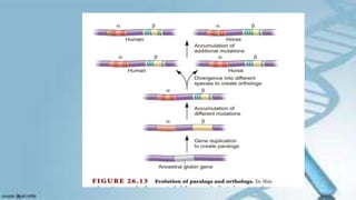 LUDAS_POPULATION-AND-EVOLUTIONARY-GENETICS.pdf