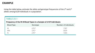 EXAMPLE
Using the table below, estimate the allele and genotype frequencies of the LM and LN
alleles among 6129 individuals in a population.
 