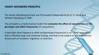HARDY-WEINBERG PRINCIPLE
The Hardy–Weinberg principle was formulated independently by G. H. Hardy and
Wilhelm Weinberg in 1908.
The principle is a mathematical model that evaluates the effect of reproduction on the
genotypic and allelic frequencies of a population.
It describes what happens to allele and genotype frequencies in an “ideal” population
that is infinitely large and randomly mating, and that is not subject to any evolutionary
forces such as mutation, migration, or selection.
 