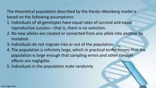The theoretical population described by the Hardy–Weinberg model is
based on the following assumptions:
1. Individuals of all genotypes have equal rates of survival and equal
reproductive success—that is, there is no selection.
2. No new alleles are created or converted from one allele into another by
mutation.
3. Individuals do not migrate into or out of the population.
4. The population is infinitely large, which in practical terms means that the
population is large enough that sampling errors and other random
effects are negligible.
5. Individuals in the population mate randomly
 